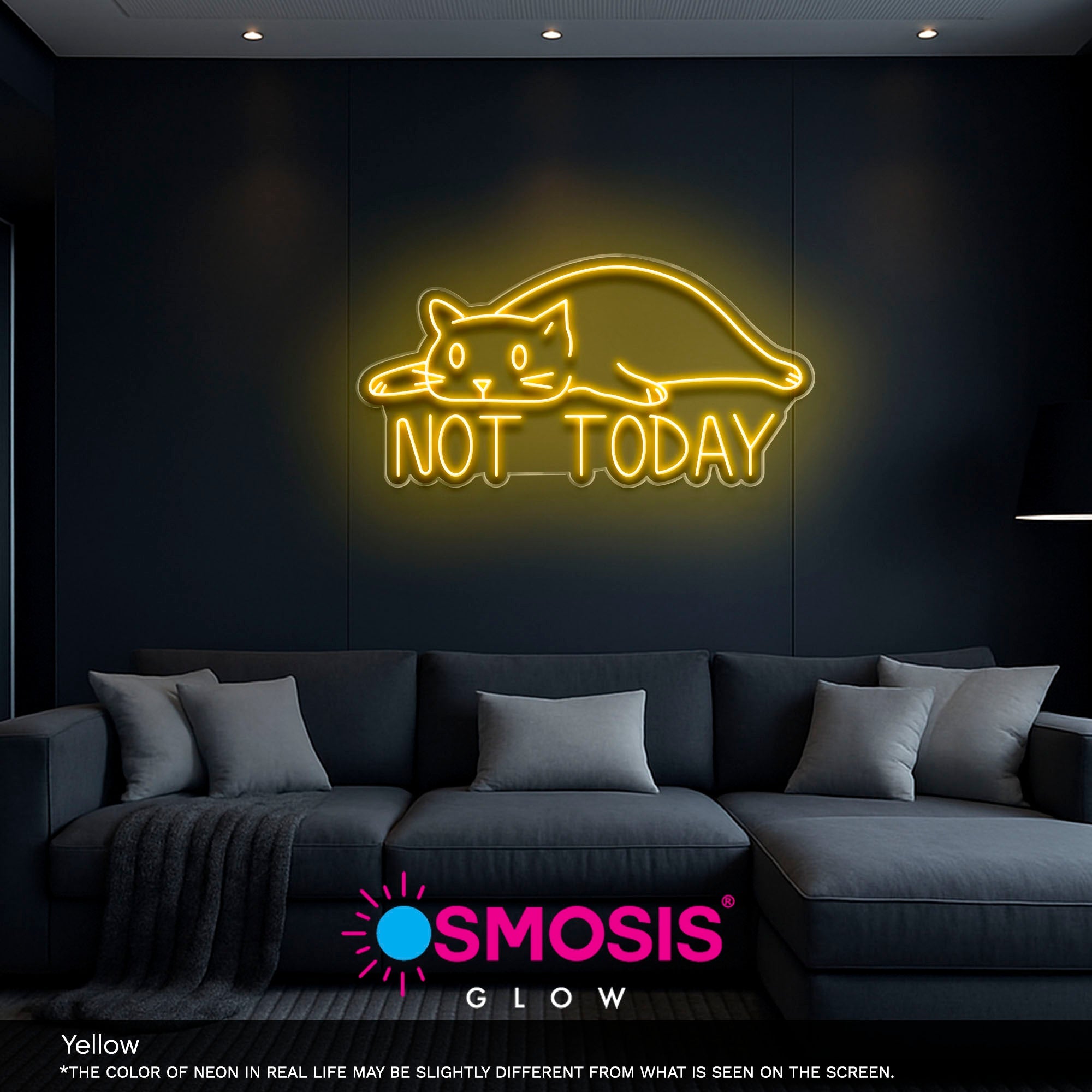 Cat Not Today neon sign