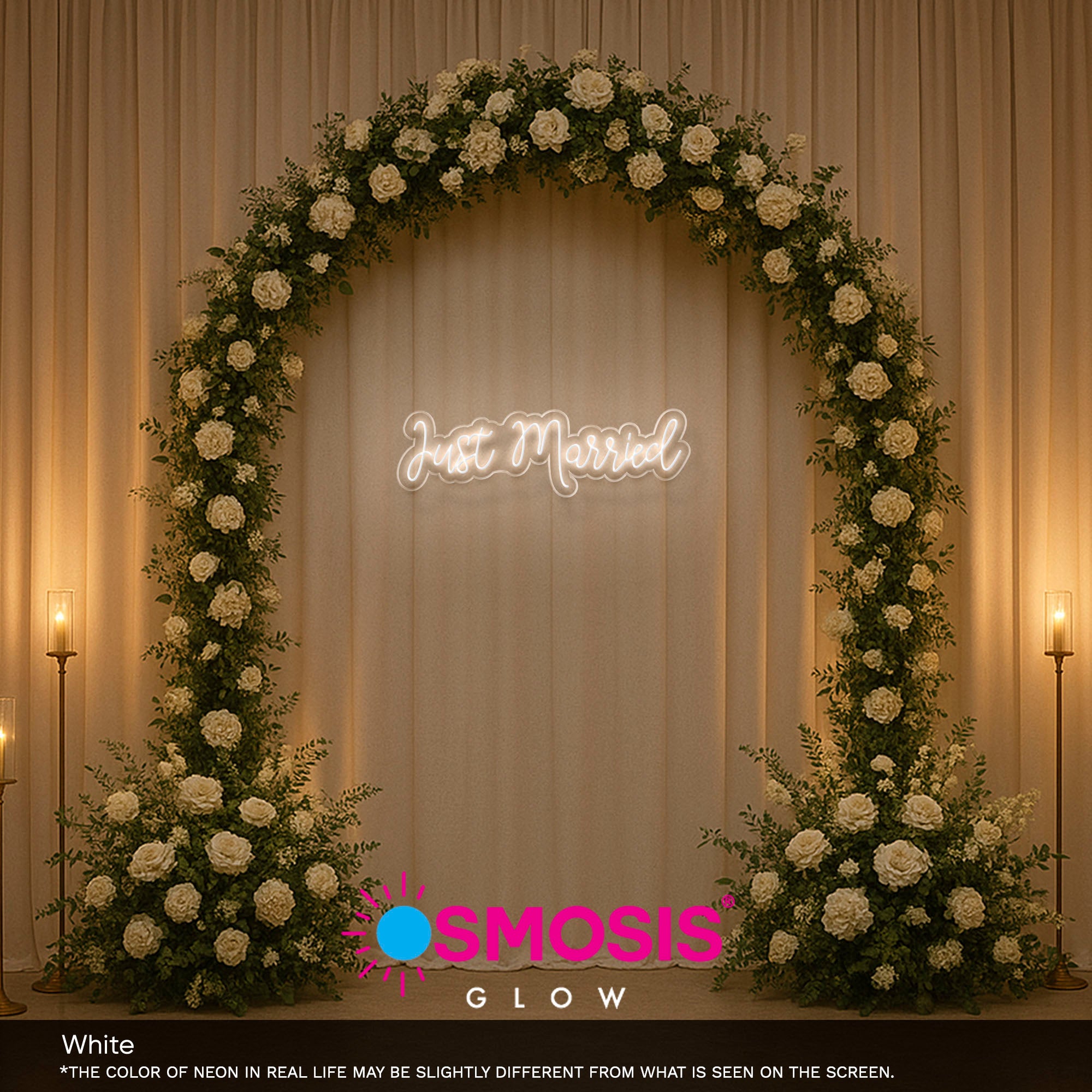 Just Married Model neon sign