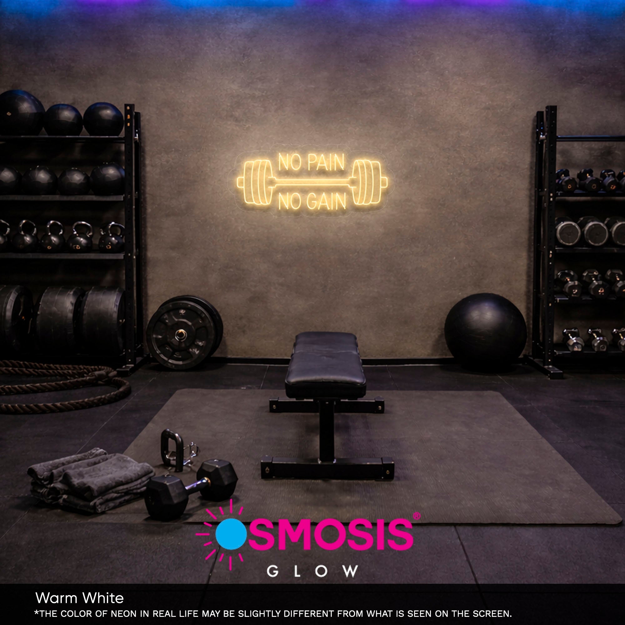 No Pain No Gain neon sign