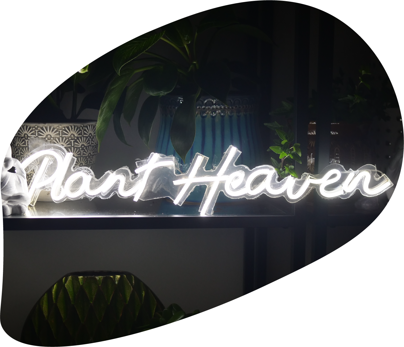 plant haven custom led custom neon sign